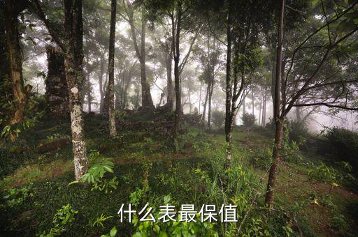 2003年勞力士迪通拿價(jià)格表...